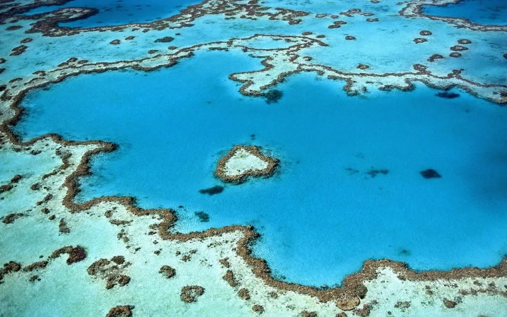 Recif de corali în ocean, văzut de sus
